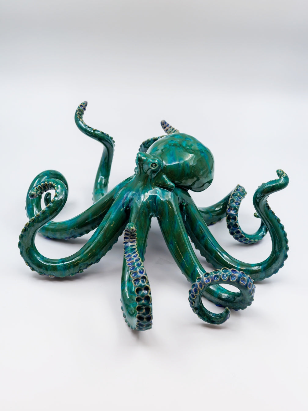 Bläckfisk - Blått gräs