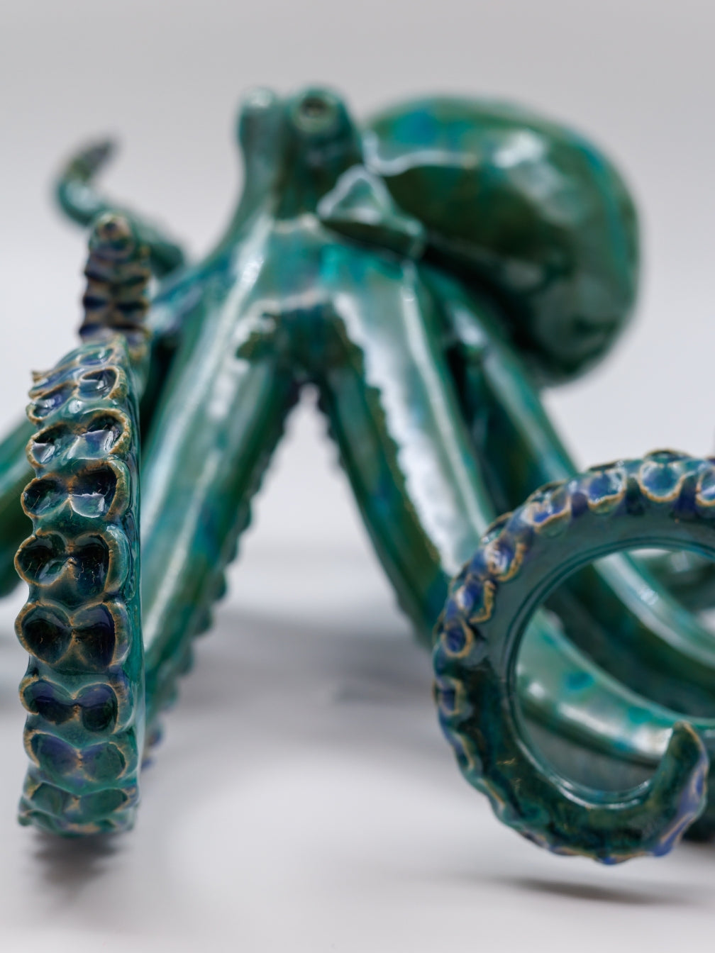 Bläckfisk - Blått gräs