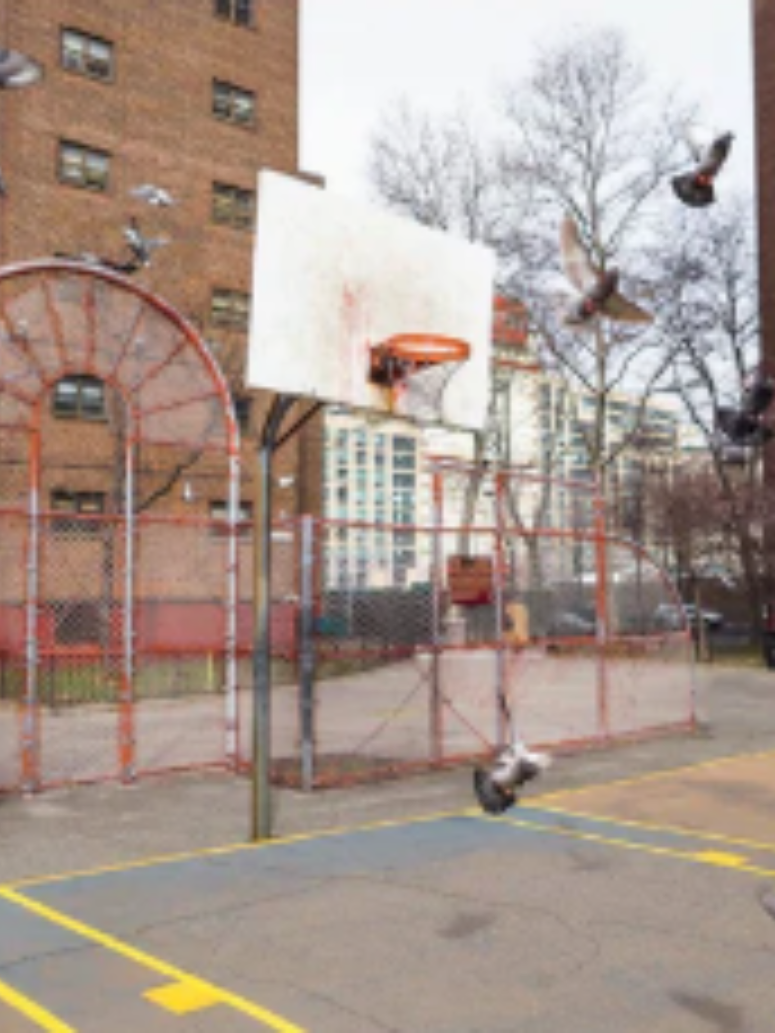 Brooklyn Jets