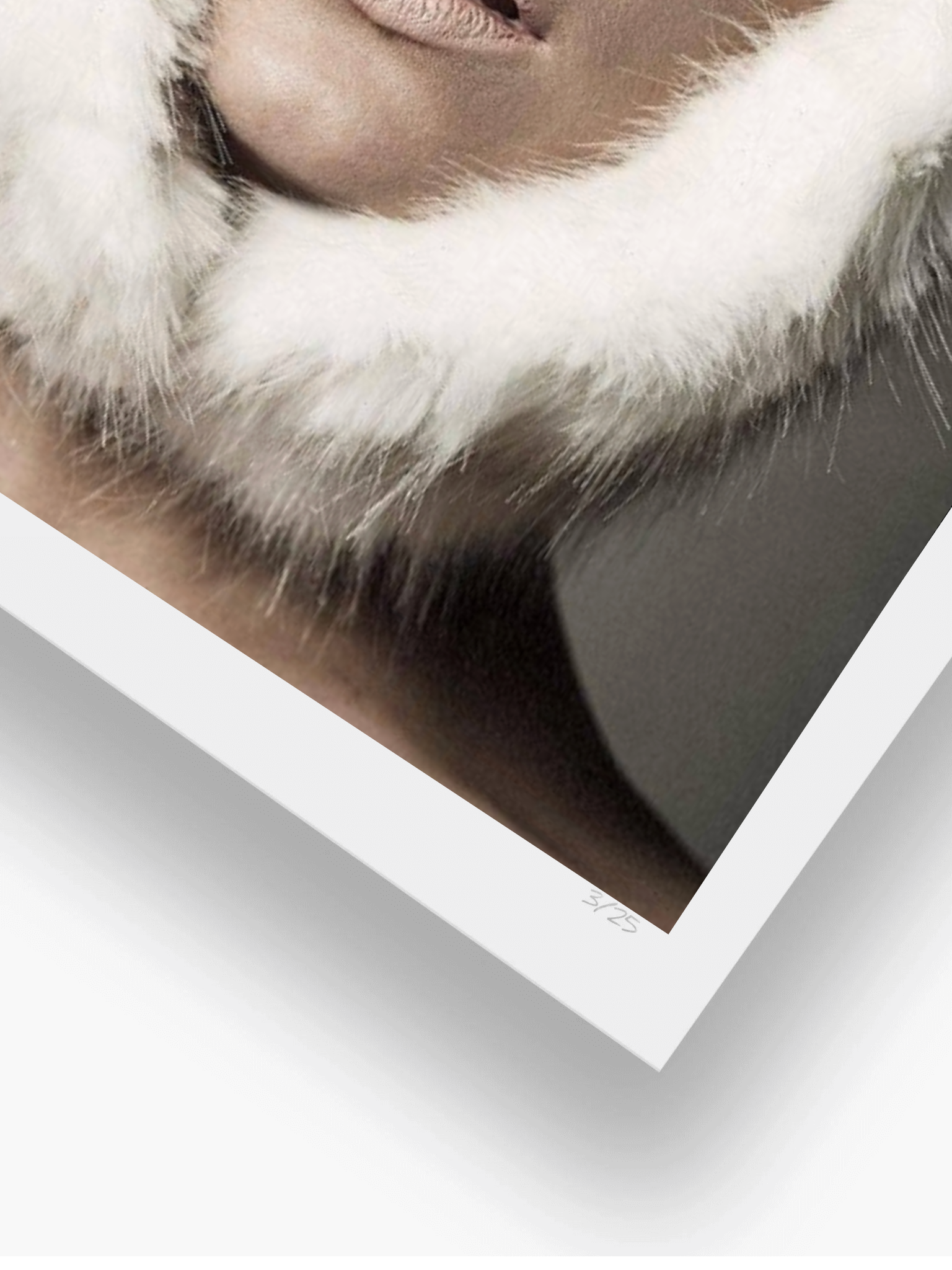 Face Your Fur