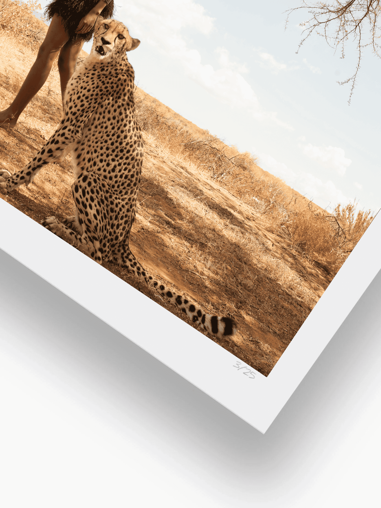 Cheetah soul