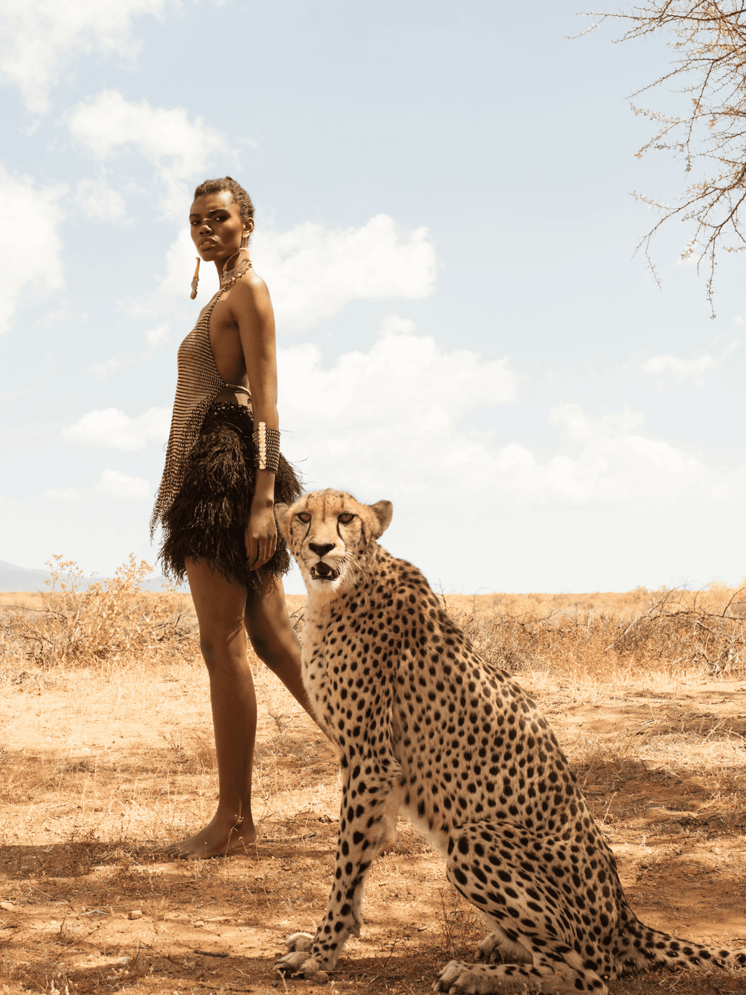 Cheetah soul