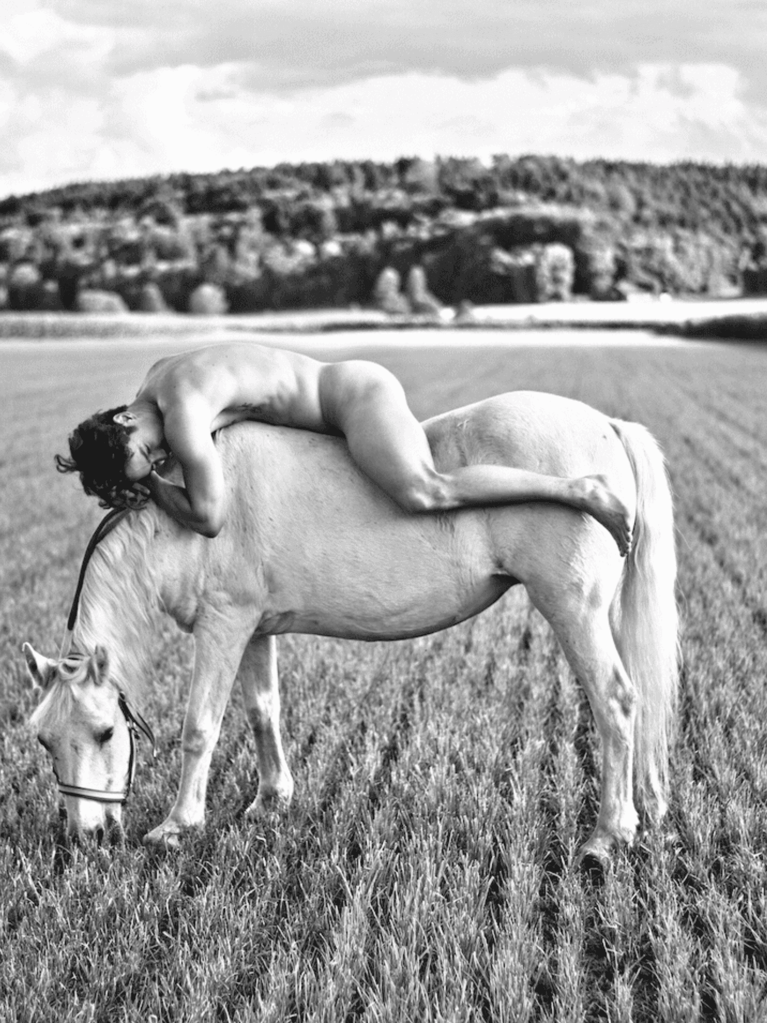 Cowboy
