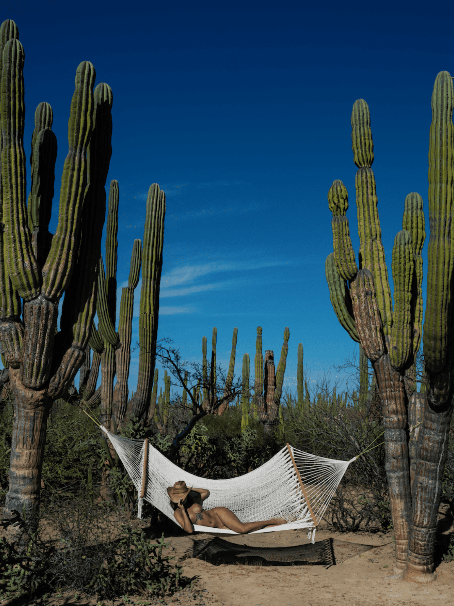 Between Two Cacti