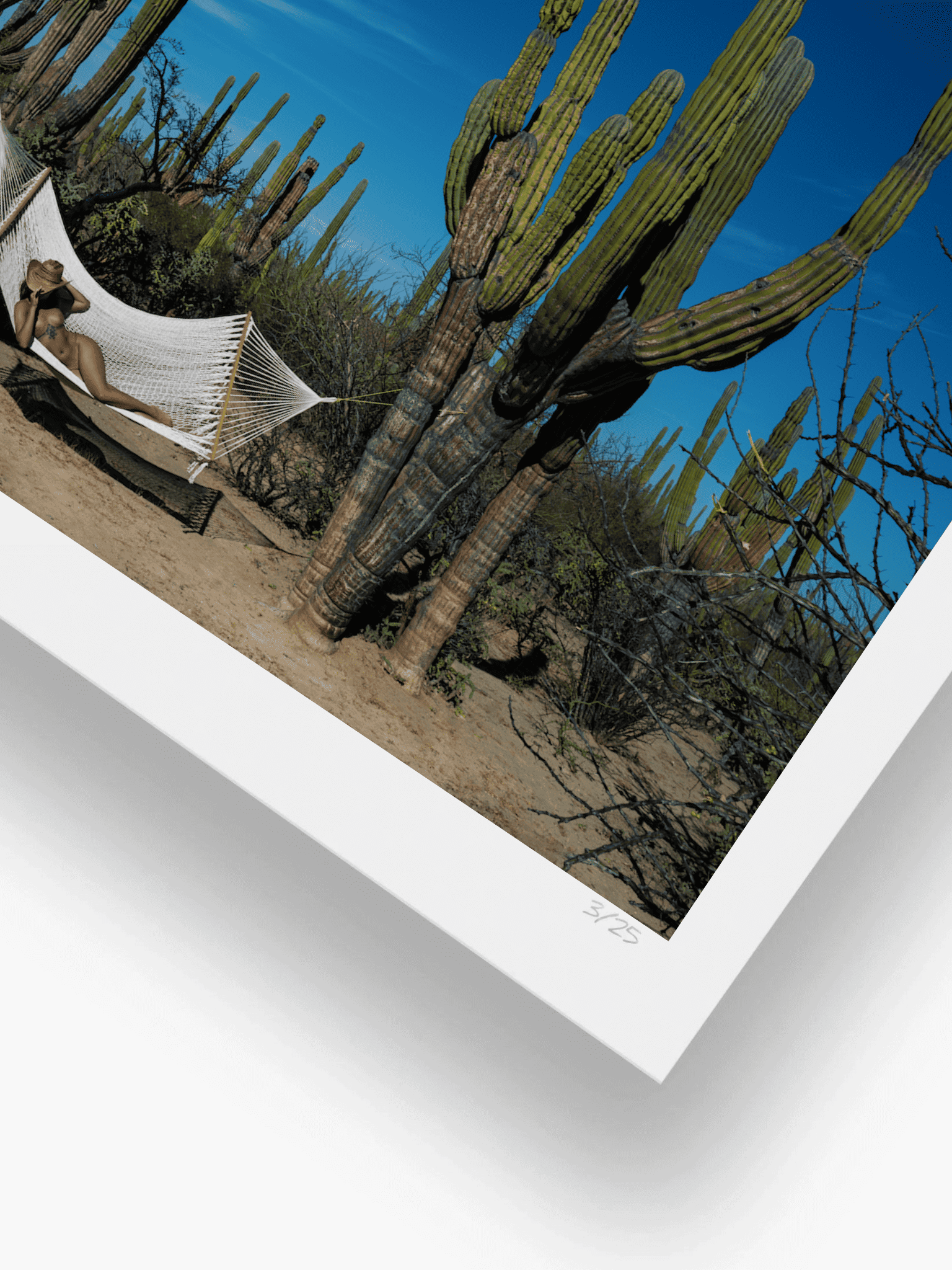 Between Two Cacti
