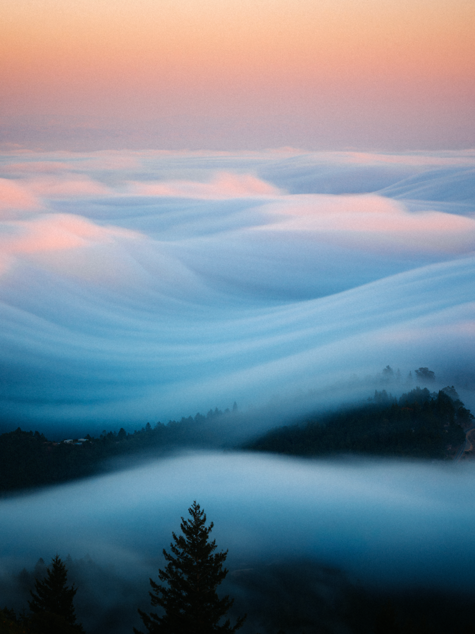 Waves of Fog