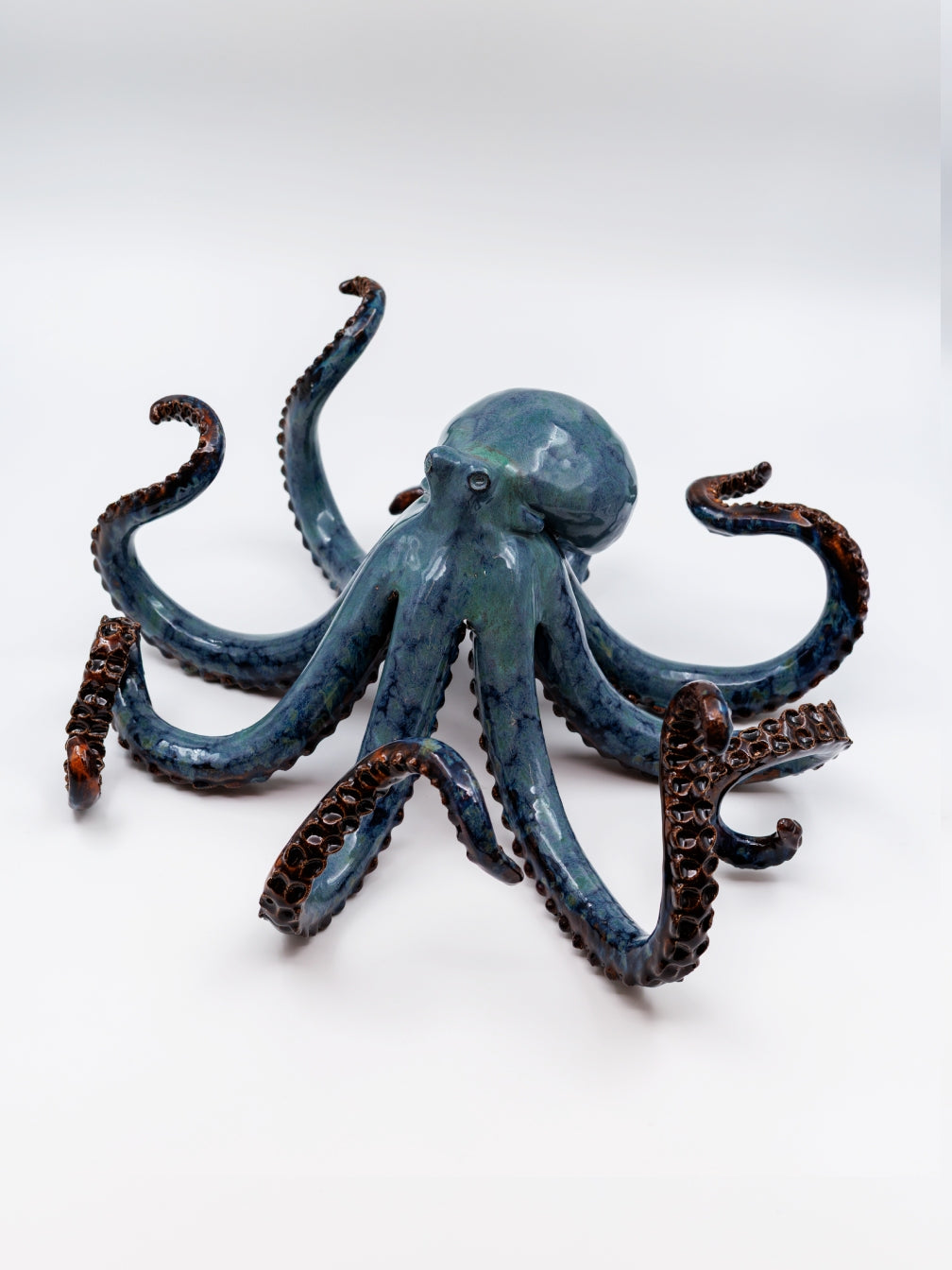 Bläckfisk - Blå Mörkstjärna