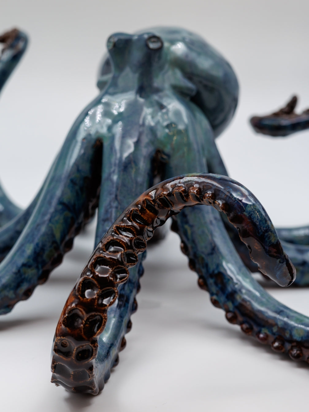 Bläckfisk - Blå Mörkstjärna