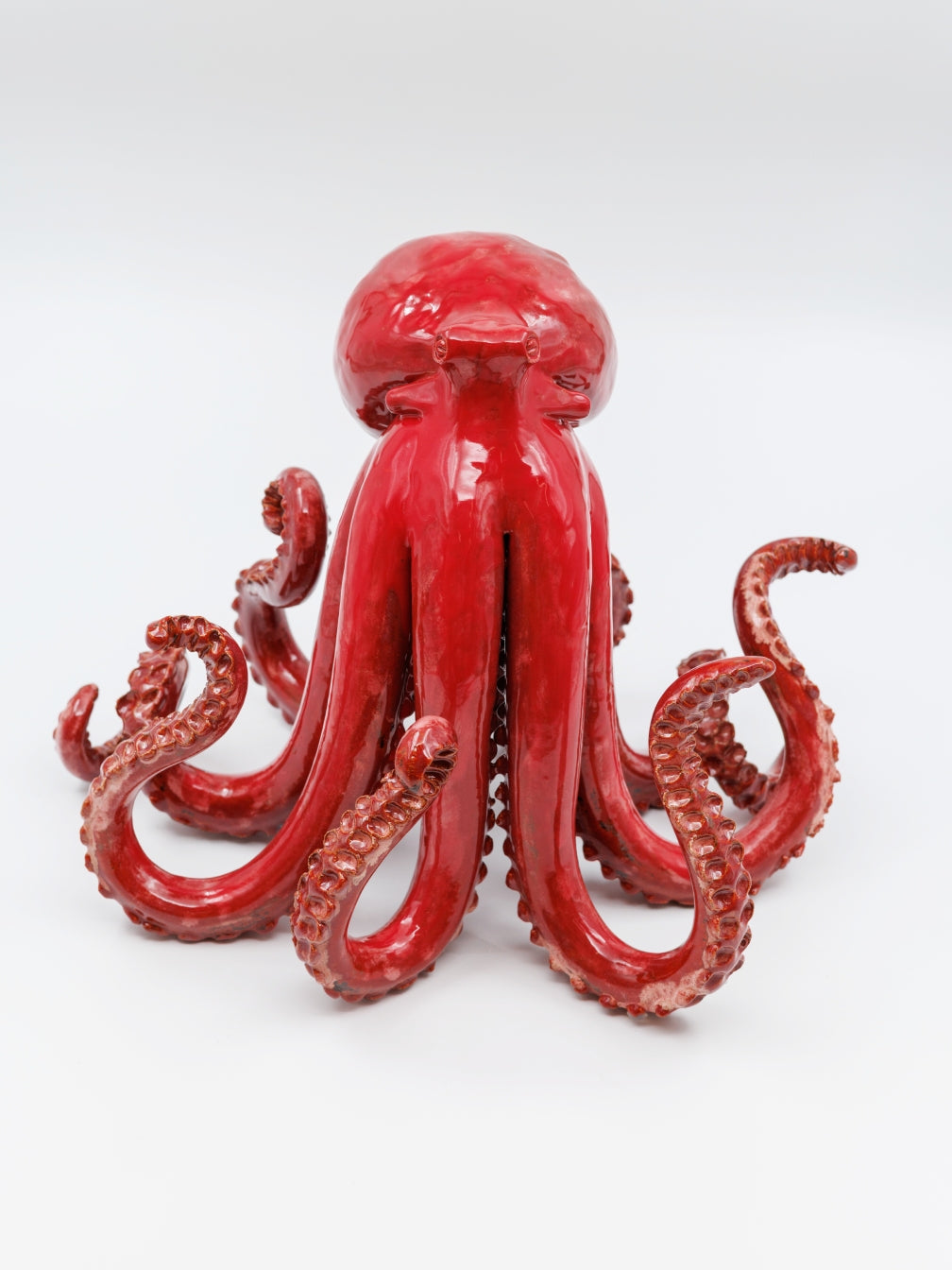 Octopus Red