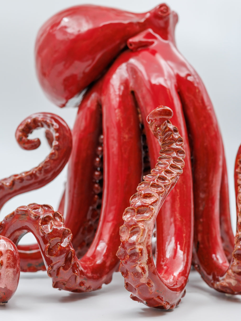 Octopus Red